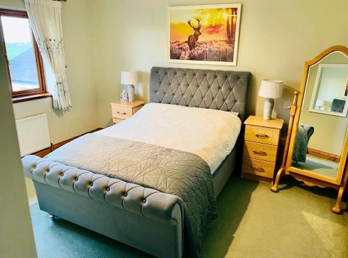 a bedroom with a bed and a mirror at Country Hideaway in Limerick