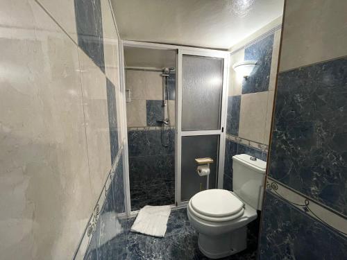 a bathroom with a toilet and a shower at Casa Gouveia in Ribeira Brava