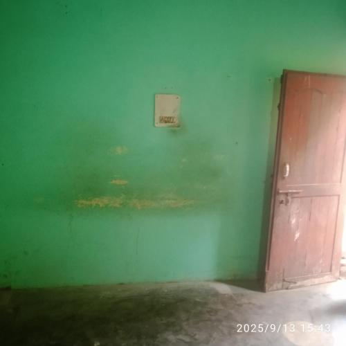 a green room with a door and a green wall at Balaji Shridham in Jāmb