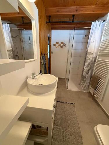 a white bathroom with a sink and a shower at Jirkova chata in Lipova Lazne