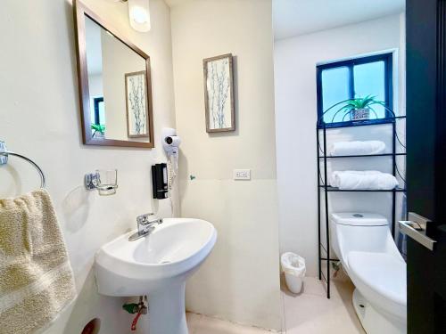 a bathroom with a sink and a toilet and a mirror at Casa Marsella 2 Privada y Moderna in Zaragoza