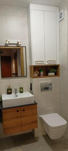 a bathroom with a sink and a toilet and a mirror at APARTAMENT RELAX in Ełk