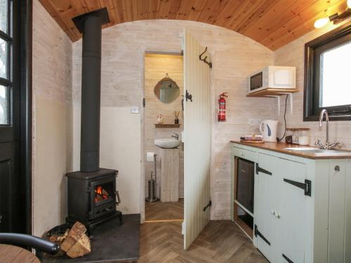 a kitchen with a wood stove in a room at Aston - Shepherd Hut in Craven Arms