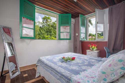 a bedroom with a bed and green windows at Villa Les Violettes in Morne-à-lʼEau