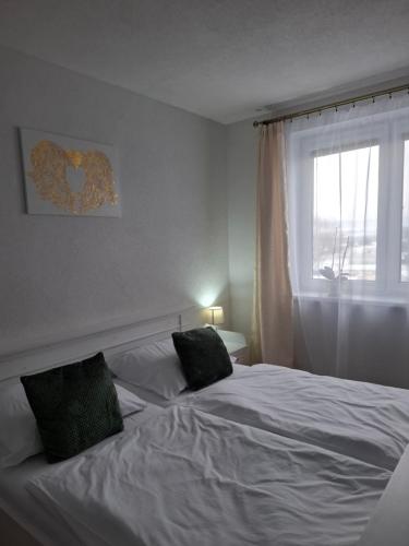 a bedroom with two beds and a window at Apartman JAMI in Spišské Podhradie