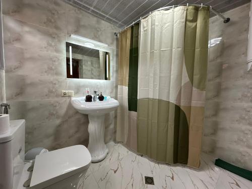 a bathroom with a sink and a toilet and a shower at Matua guest house in Jvari