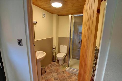 a small bathroom with a toilet and a shower at 2 Bed in Llandinam oc-waa377 in Llandinam