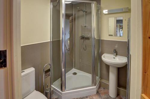 a bathroom with a shower and a toilet and a sink at 1 Bed in Llandinam oc-waa376 in Llandinam