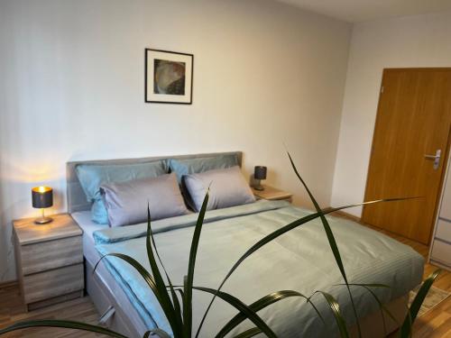 Lori Apartment