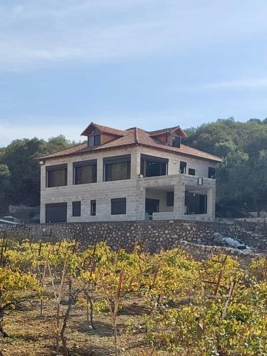 una casa situada encima de un campo en Bait Ajloun, en Khirbat Shīn