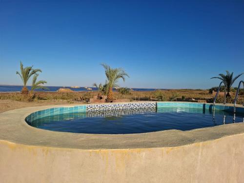 a swimming pool in the middle of the desert at Siwa Salt Lake Lodge in Siwa