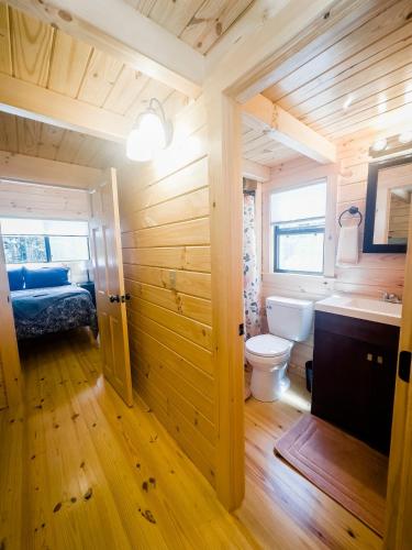 a bathroom with a toilet and a sink in a room at Cozy Coastal Cabin 4 in Steuben