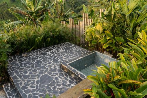 a garden with a stone walkway in the middle at Eco Hotel Glamping El Silencio in Santa Rosa de Cabal