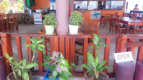 three potted plants on a wooden table in a restaurant at Happy Days Resort in Ko Mak