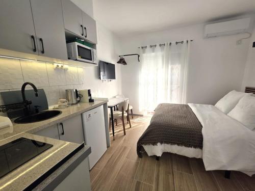 203 Studio with Kitchenette & Private Bath