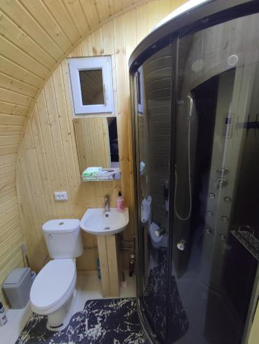 Bilde i galleriet til Swallow i Karakol