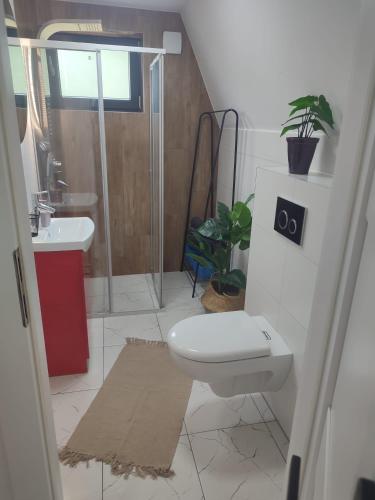 a bathroom with a toilet and a sink at Bieszczadzkie Asy in Polana