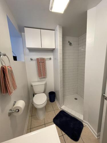 a small bathroom with a toilet and a shower at The Wrigleyville Garden 200 Steps to Wrigley-2BR in Chicago