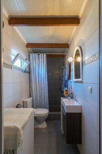 a bathroom with a sink and a toilet and a shower at Dust in The Wind Sunrise in Triovasálos