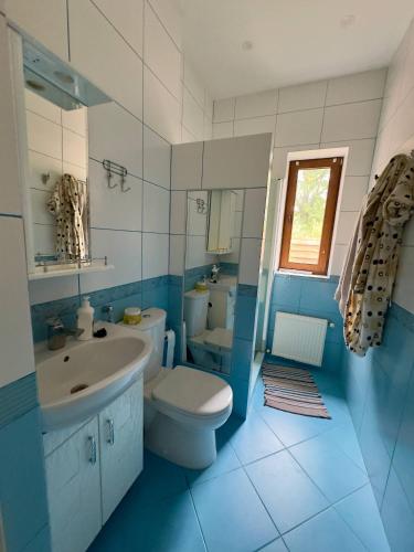 a blue and white bathroom with a toilet and a sink at Villa Trypill in Tripolʼye