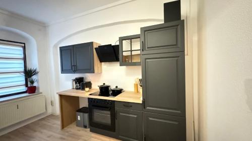 a kitchen with gray cabinets and a stove top oven at Aaron27 in Meißen