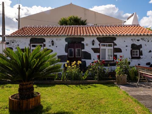 a white house with a palm tree in front of it at Fisherman's House Azores in Angra do Heroísmo