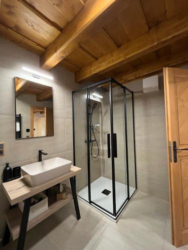 a bathroom with a sink and a shower at Apartmán La Šiška - Věžička in Velké Karlovice