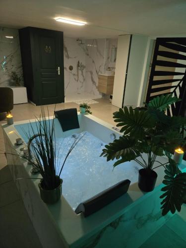 Suite 11 tesisinde bir oturma alanı