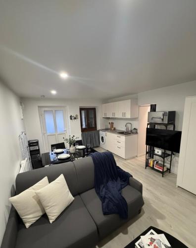 a living room with a couch and a kitchen at Geneve Gaillard studio in Gaillard