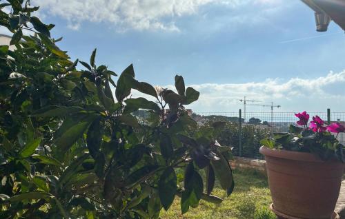 Nice Apartment In Zadar With Wifi