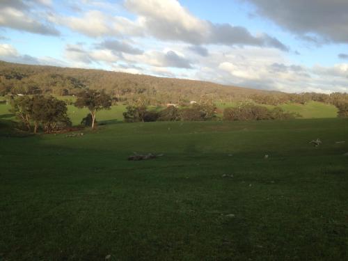 a large green field with trees in the distance at Mancuso Country Cottage Retreat in Metcalfe