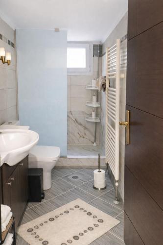 a bathroom with a shower and a toilet and a sink at Arya Guesthouse in Polygryos