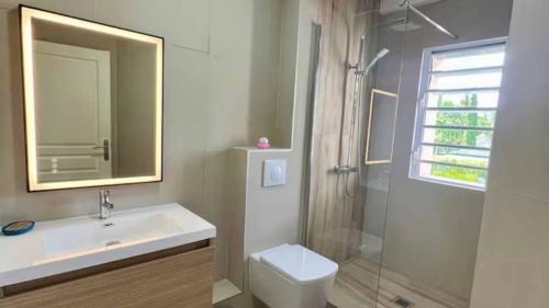 a bathroom with a sink and a shower and a toilet at MOOREA - Waterfall Pool Coconut House 1 in Pihaena