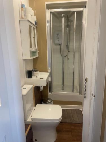 a bathroom with a shower and a toilet and a sink at An Cuilidh in Port Bannatyne