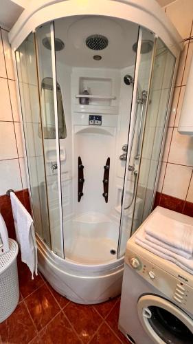 a shower in a bathroom with a washing machine at Samobor Old Town Studio by the River in Samobor