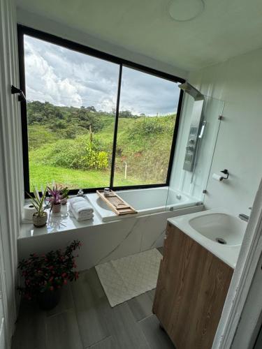 a bathroom with a sink and a large window at Kèbi Container Home near Blue Falls in Colonia
