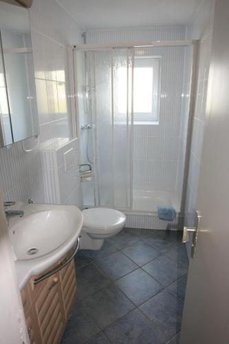 a bathroom with a shower and a toilet and a sink at Ferienwohnungen und Ferienhaus im Nixenweg in Hohwacht