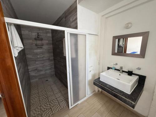 a bathroom with a sink and a shower at Hotel Queretaro in Querétaro