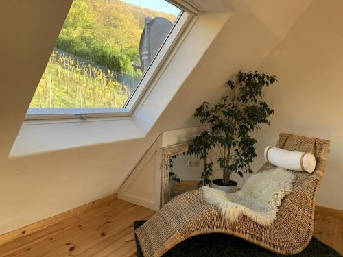 a room with a window and a chair with a plant at Das Mosel Ferienhaus in Zell an der Mosel