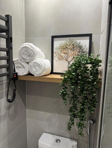 a bathroom with a shelf with towels and a plant at Studio Lumière Moema in São Paulo
