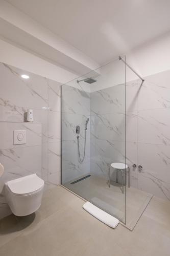 Luxury villa with a swimming pool Vodice - 25085
