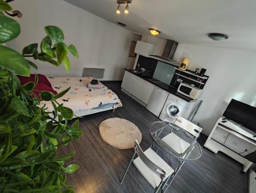 Les Ronchaux Studio Hyper Centre WiFi