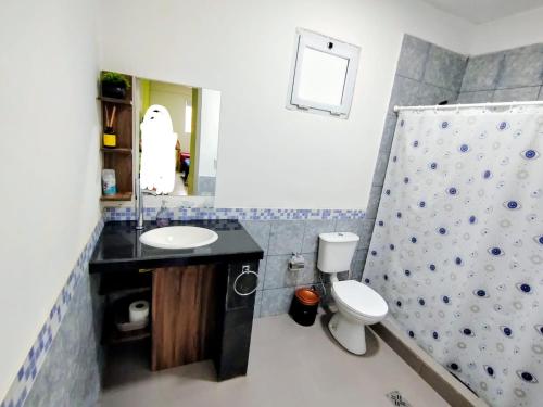 a bathroom with a sink and a toilet and a shower at Dptos Ceci in Centenario