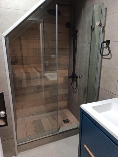 a shower with a glass door in a bathroom at Casa Jesy in Frutillar