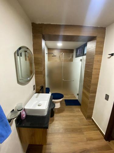 a bathroom with a sink and a toilet at Casa Mexiquito in Arandas