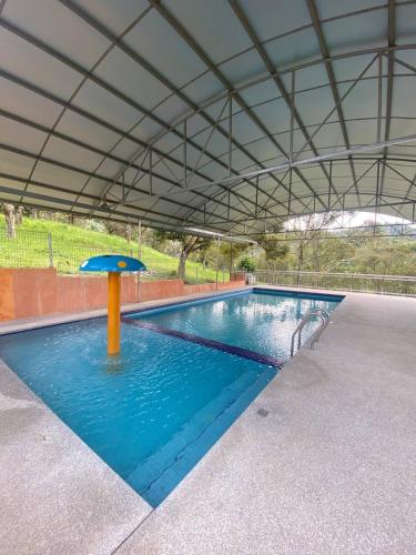 a large swimming pool with an umbrella in it at Rasa Durio Eco Glampz in Rasa