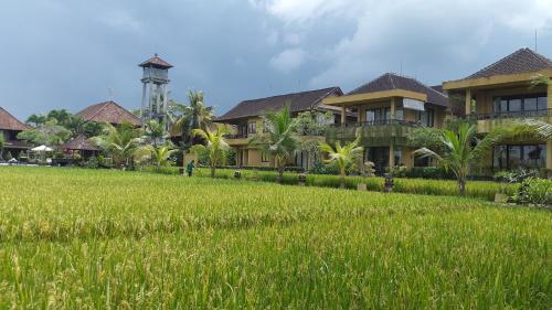 a house in a rice field next to a house at Sri Aksata Ubud Resort in Ubud