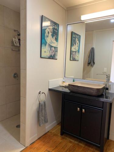 a bathroom with a sink and a mirror at Sea Turtle Lodge and Villas in Rarotonga
