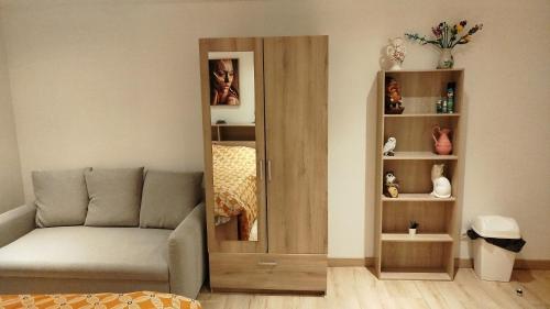 a living room with a couch and a book shelf at Appartement Neuf Raismes in Raismes