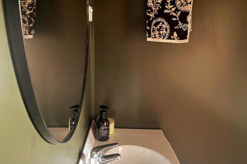 a bathroom with a sink and a mirror at Barn Apartment in Earnscleugh
